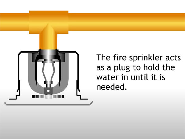how-fire-sprinklers-work