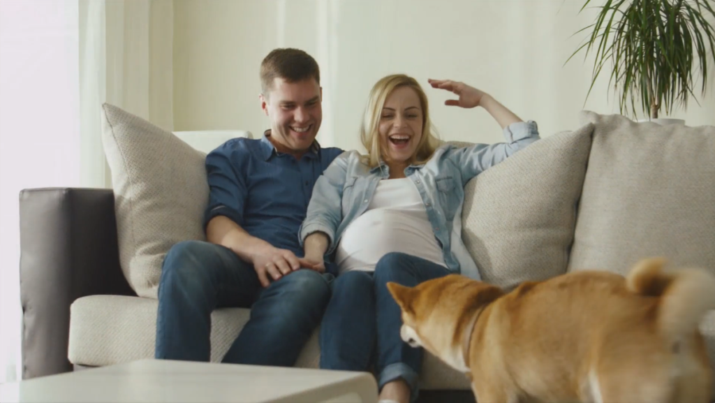 Fire Sprinklers Protect Your Pets Home Fire Sprinkler Coalition