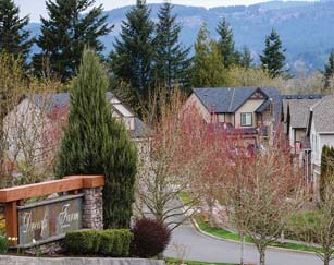 fire sprinkler case studies photo